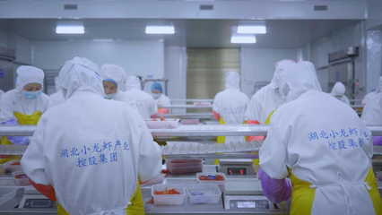 全國首個小龍蝦加工基地揭牌 全鏈賦能‘蝦’經濟，助力鄉村振興與技術推廣